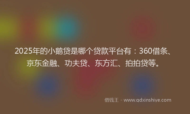 2025年的小鹅贷是哪个贷款平台有：360借条、京东金融、功夫贷、东方汇、拍拍贷等。