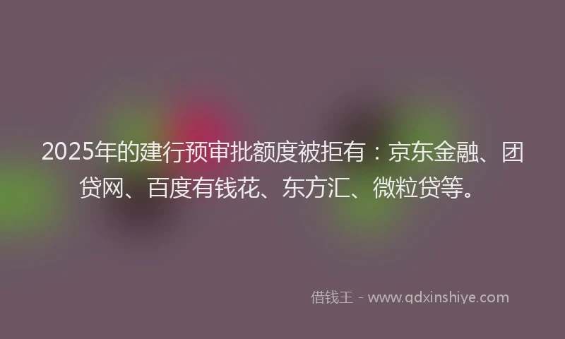 2025年的建行预审批额度被拒有：京东金融、团贷网、百度有钱花、东方汇、微粒贷等。