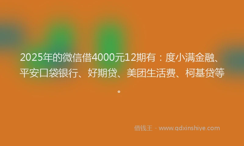 2025年的微信借4000元12期有：度小满金融、平安口袋银行、好期贷、美团生活费、柯基贷等。
