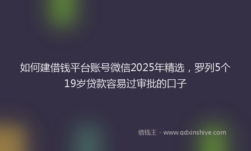 如何建借钱平台账号微信2025年精选，罗列5个19岁贷款容易过审批的口子