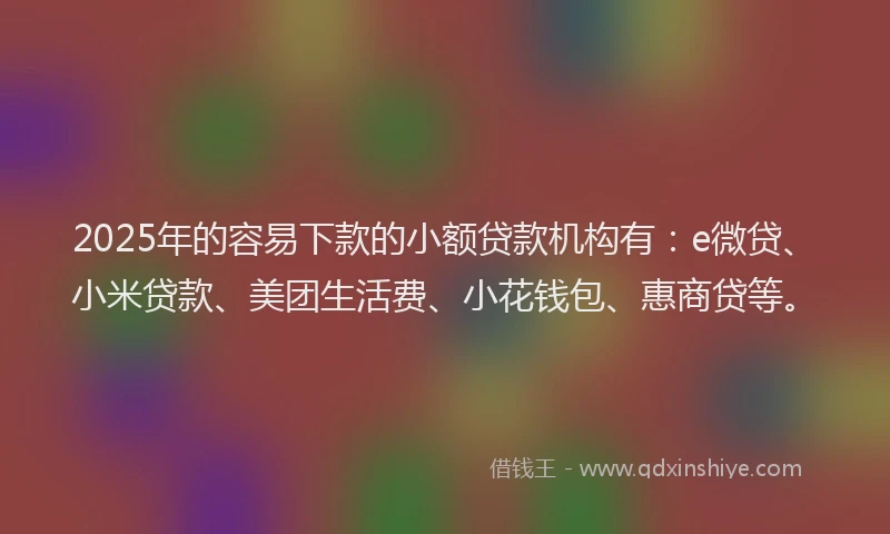 2025年的容易下款的小额贷款机构有：e微贷、小米贷款、美团生活费、小花钱包、惠商贷等。