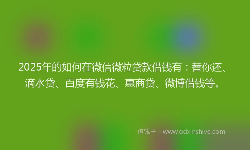 2025年的如何在微信微粒贷款借钱有：替你还、滴水贷、百度有钱花、惠商贷、微博借钱等。