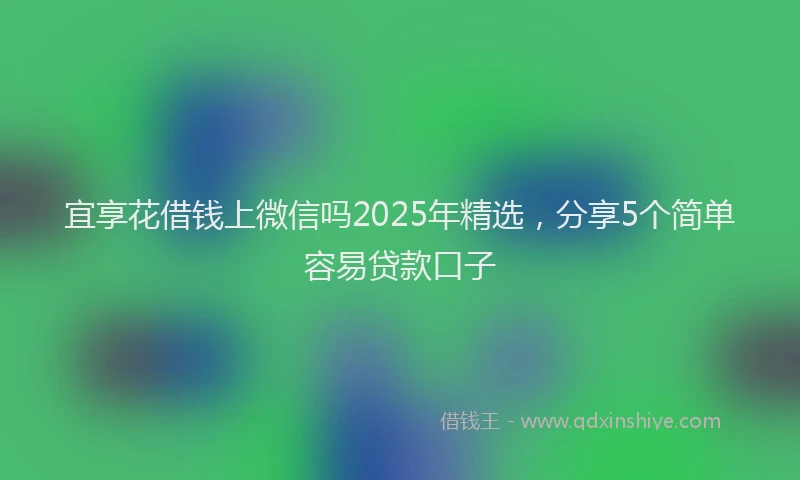 宜享花借钱上微信吗2025年精选，分享5个简单容易贷款口子