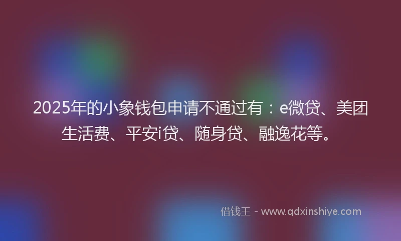 2025年的小象钱包申请不通过有：e微贷、美团生活费、平安i贷、随身贷、融逸花等。
