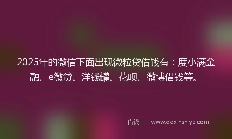 2025年的微信下面出现微粒贷借钱有：度小满金融、e微贷、洋钱罐、花呗、微博借钱等。