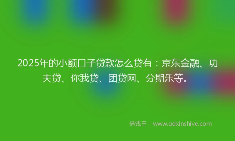 2025年的小额口子贷款怎么贷有：京东金融、功夫贷、你我贷、团贷网、分期乐等。