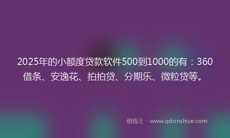 2025年的小额度贷款软件500到1000的有：360借条、安逸花、拍拍贷、分期乐、微粒贷等。