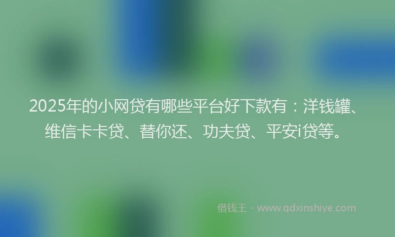 2025年的小网贷有哪些平台好下款有：洋钱罐、维信卡卡贷、替你还、功夫贷、平安i贷等。