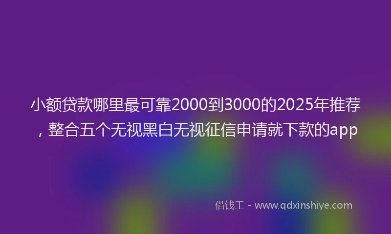 小额贷款哪里最可靠2000到3000的2025年推荐，整合五个无视黑白无视征信申请就下款的app