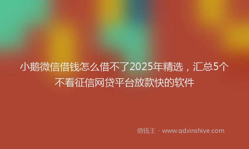 小鹅微信借钱怎么借不了2025年精选，汇总5个不看征信网贷平台放款快的软件