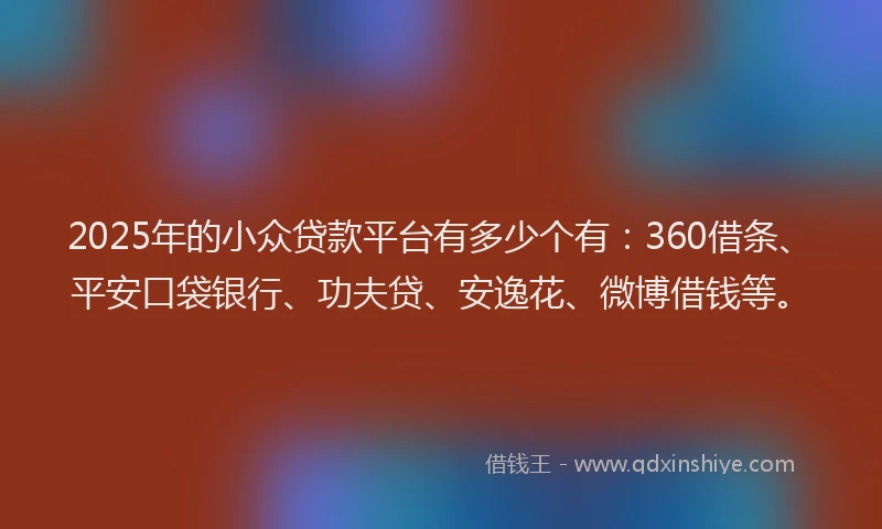 2025年的小众贷款平台有多少个有：360借条、平安口袋银行、功夫贷、安逸花、微博借钱等。