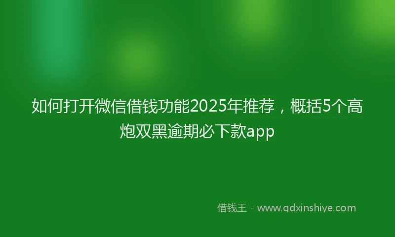 如何打开微信借钱功能2025年推荐，概括5个高炮双黑逾期必下款app