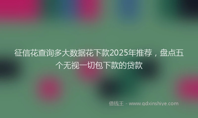 征信花查询多大数据花下款2025年推荐，盘点五个无视一切包下款的贷款