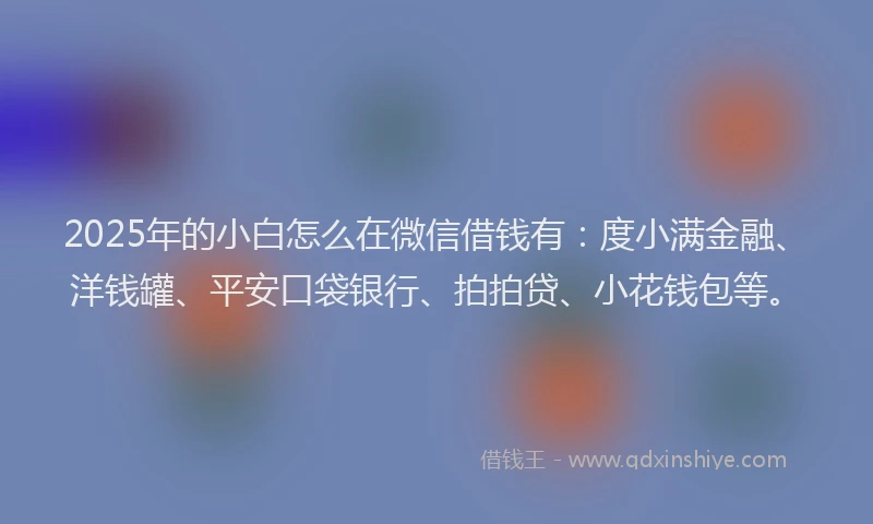 2025年的小白怎么在微信借钱有：度小满金融、洋钱罐、平安口袋银行、拍拍贷、小花钱包等。