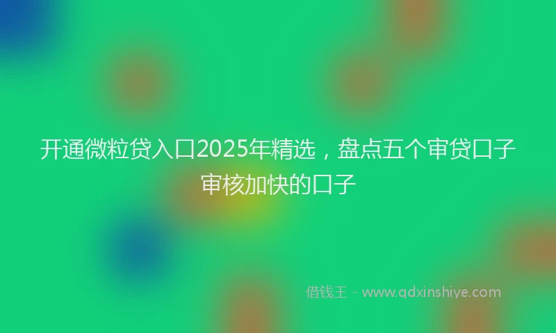 开通微粒贷入口2025年精选，盘点五个审贷口子审核加快的口子