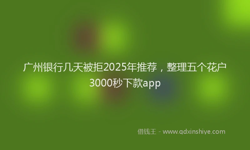 广州银行几天被拒2025年推荐，整理五个花户3000秒下款app