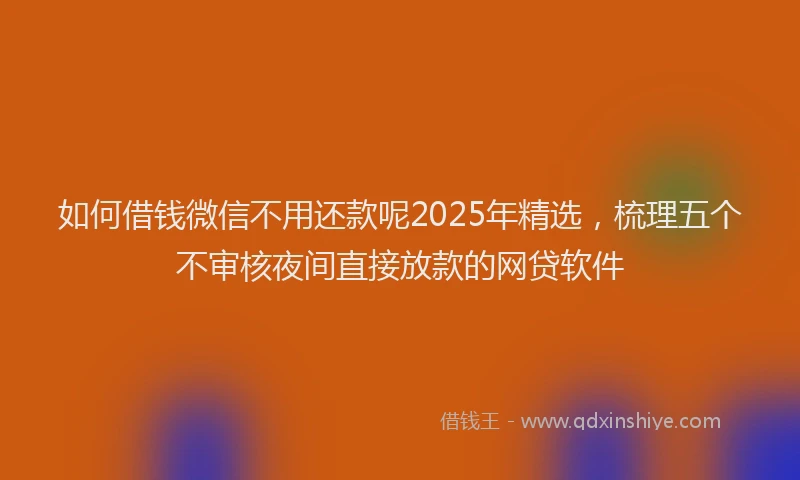 如何借钱微信不用还款呢2025年精选，梳理五个不审核夜间直接放款的网贷软件