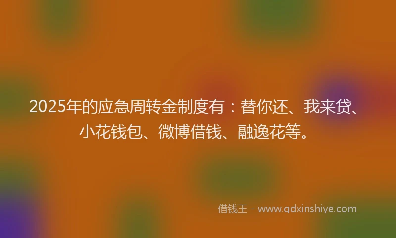 2025年的应急周转金制度有：替你还、我来贷、小花钱包、微博借钱、融逸花等。