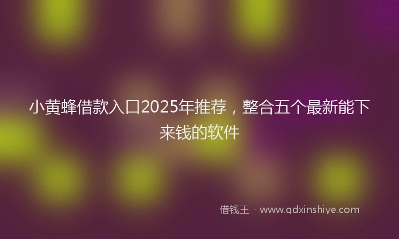 小黄蜂借款入口2025年推荐，整合五个最新能下来钱的软件