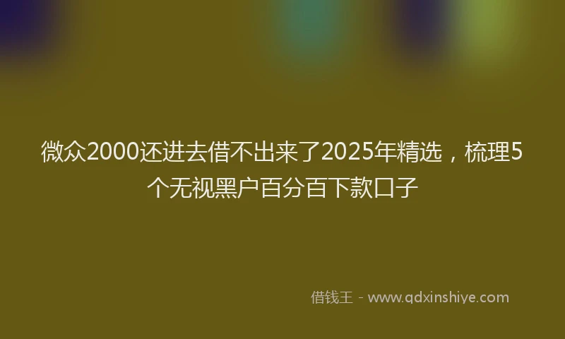 微众2000还进去借不出来了2025年精选，梳理5个无视黑户百分百下款口子