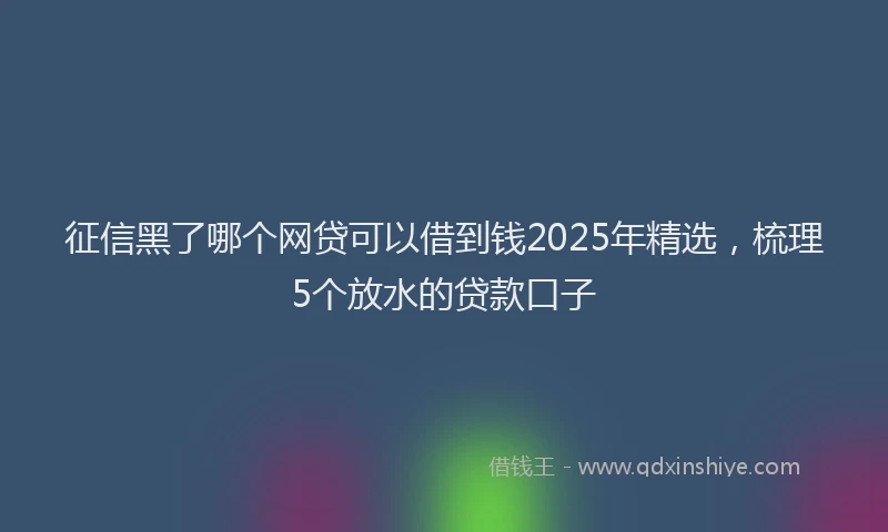 征信黑了哪个网贷可以借到钱2025年精选，梳理5个放水的贷款口子