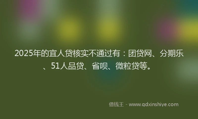 2025年的宜人贷核实不通过有：团贷网、分期乐、51人品贷、省呗、微粒贷等。