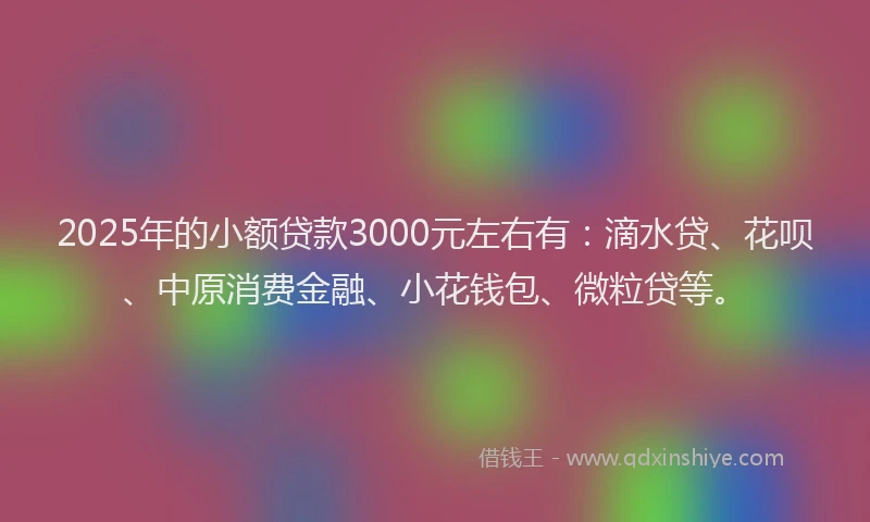 2025年的小额贷款3000元左右有：滴水贷、花呗、中原消费金融、小花钱包、微粒贷等。