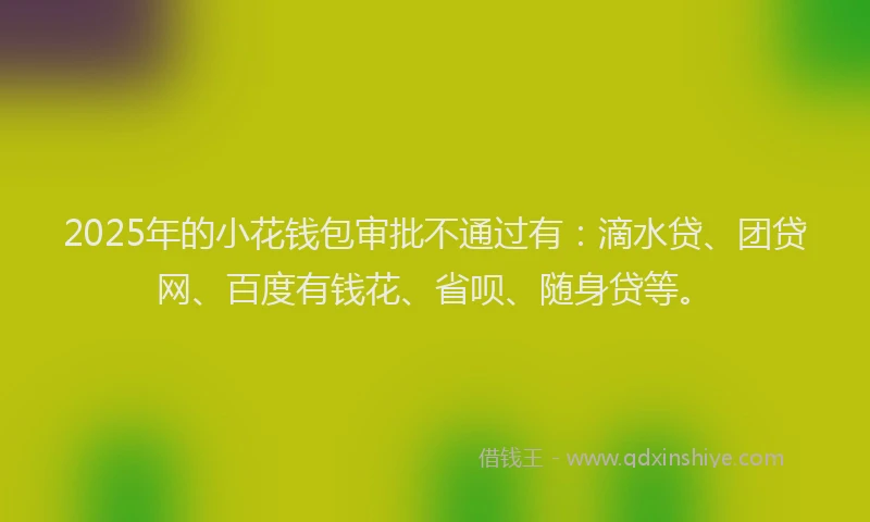 2025年的小花钱包审批不通过有：滴水贷、团贷网、百度有钱花、省呗、随身贷等。