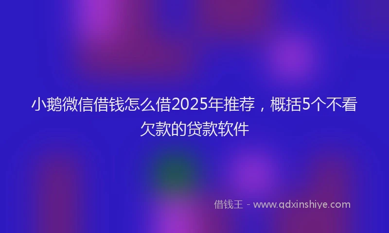 小鹅微信借钱怎么借2025年推荐，概括5个不看欠款的贷款软件