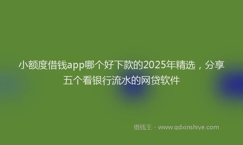 小额度借钱app哪个好下款的2025年精选，分享五个看银行流水的网贷软件