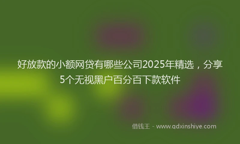 好放款的小额网贷有哪些公司2025年精选，分享5个无视黑户百分百下款软件