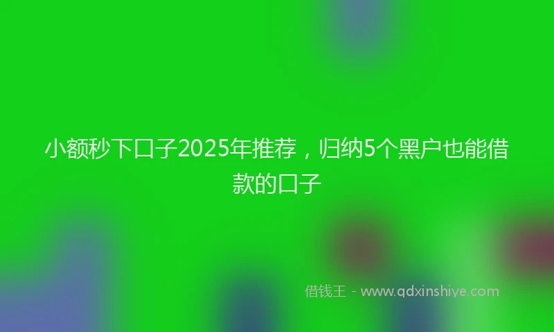小额秒下口子2025年推荐，归纳5个黑户也能借款的口子