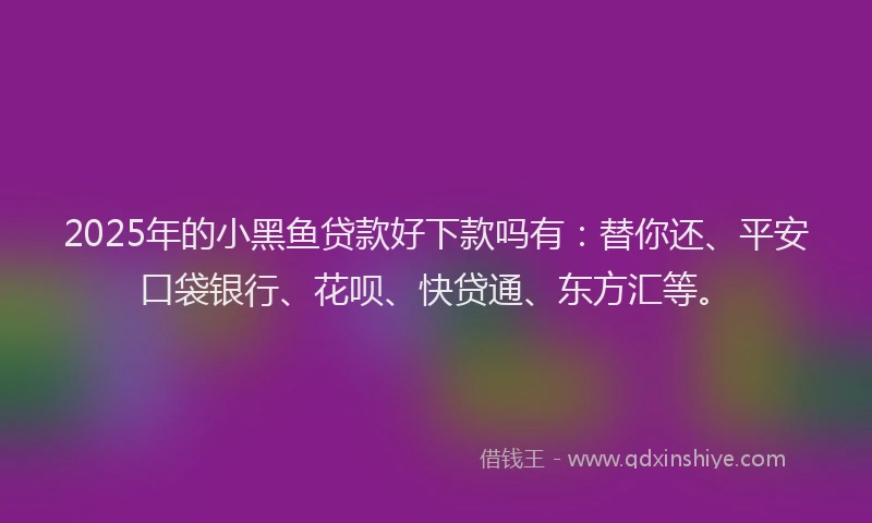 2025年的小黑鱼贷款好下款吗有：替你还、平安口袋银行、花呗、快贷通、东方汇等。