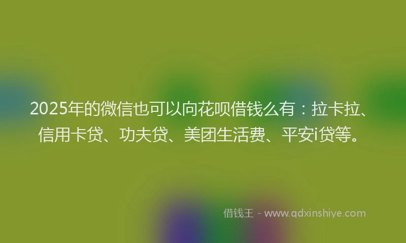 2025年的微信也可以向花呗借钱么有：拉卡拉、信用卡贷、功夫贷、美团生活费、平安i贷等。