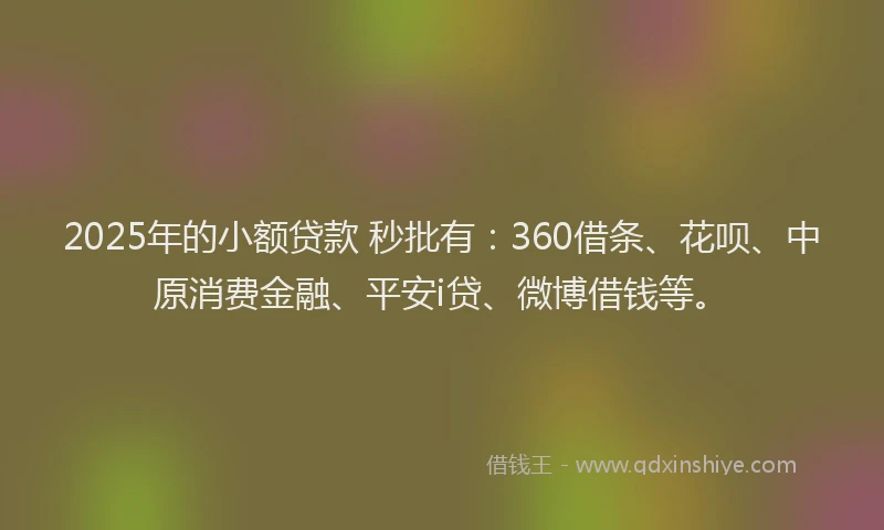 2025年的小额贷款 秒批有：360借条、花呗、中原消费金融、平安i贷、微博借钱等。