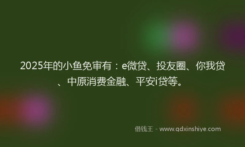 2025年的小鱼免审有：e微贷、投友圈、你我贷、中原消费金融、平安i贷等。