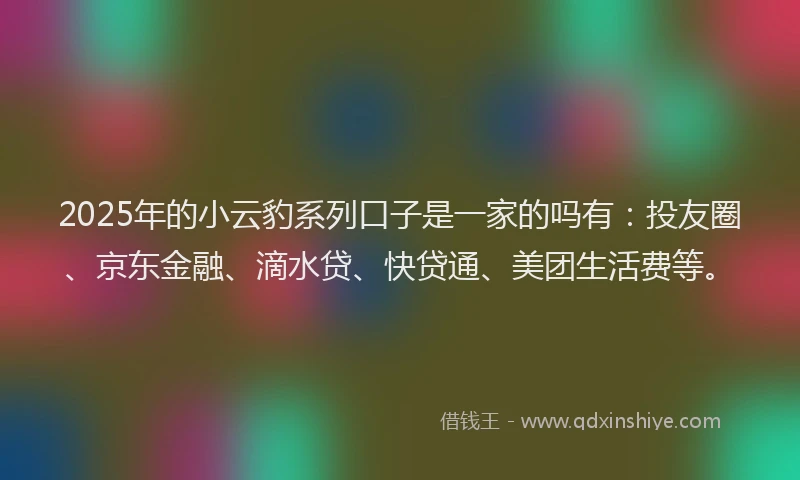 2025年的小云豹系列口子是一家的吗有：投友圈、京东金融、滴水贷、快贷通、美团生活费等。
