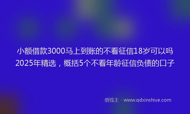 小额借款3000马上到账的不看征信18岁可以吗2025年精选，概括5个不看年龄征信负债的口子