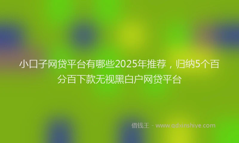 小口子网贷平台有哪些2025年推荐，归纳5个百分百下款无视黑白户网贷平台