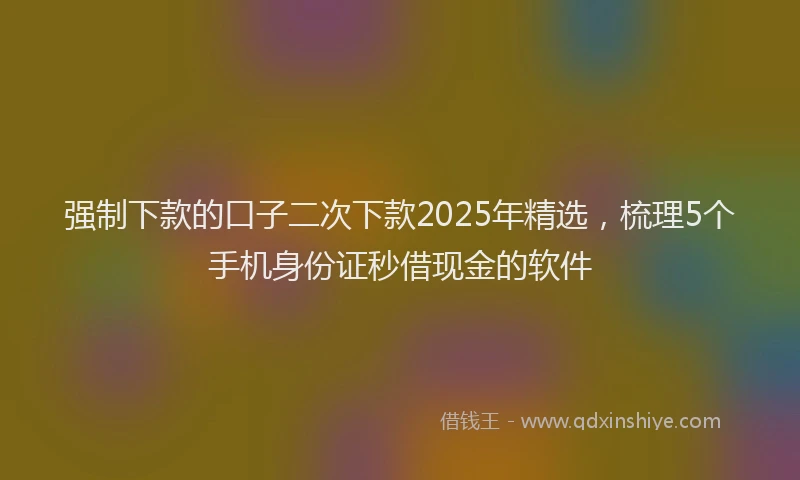 强制下款的口子二次下款2025年精选，梳理5个手机身份证秒借现金的软件