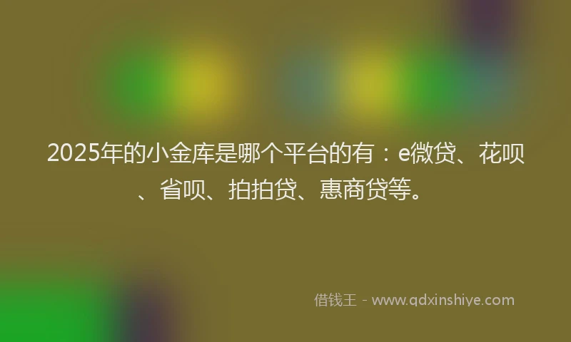2025年的小金库是哪个平台的有：e微贷、花呗、省呗、拍拍贷、惠商贷等。