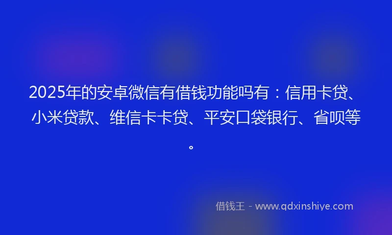 2025年的安卓微信有借钱功能吗有：信用卡贷、小米贷款、维信卡卡贷、平安口袋银行、省呗等。