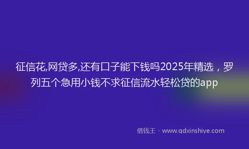 征信花,网贷多,还有口子能下钱吗2025年精选，罗列五个急用小钱不求征信流水轻松贷的app