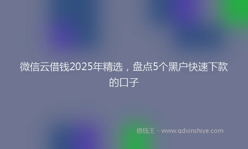 微信云借钱2025年精选，盘点5个黑户快速下款的口子