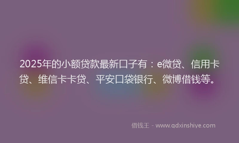 2025年的小额贷款最新口子有：e微贷、信用卡贷、维信卡卡贷、平安口袋银行、微博借钱等。