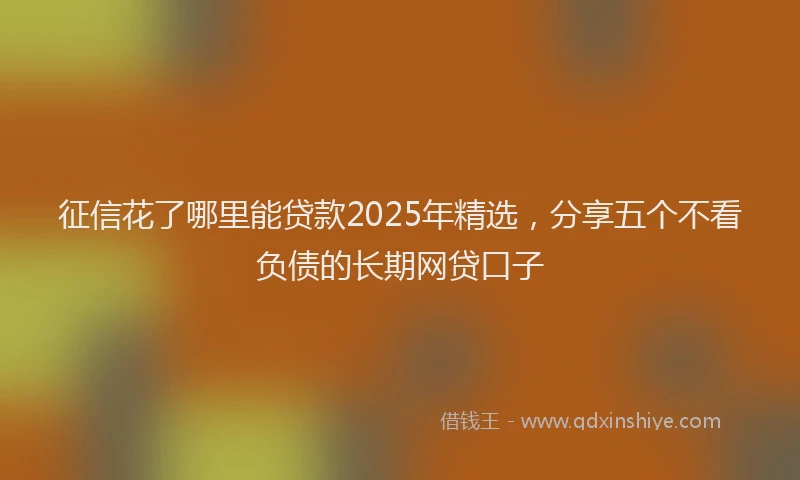 征信花了哪里能贷款2025年精选，分享五个不看负债的长期网贷口子