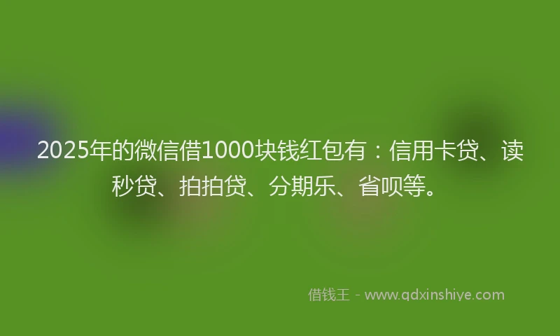 2025年的微信借1000块钱红包有：信用卡贷、读秒贷、拍拍贷、分期乐、省呗等。