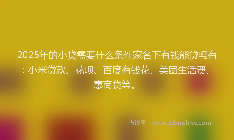 2025年的小贷需要什么条件家名下有钱能贷吗有：小米贷款、花呗、百度有钱花、美团生活费、惠商贷等。