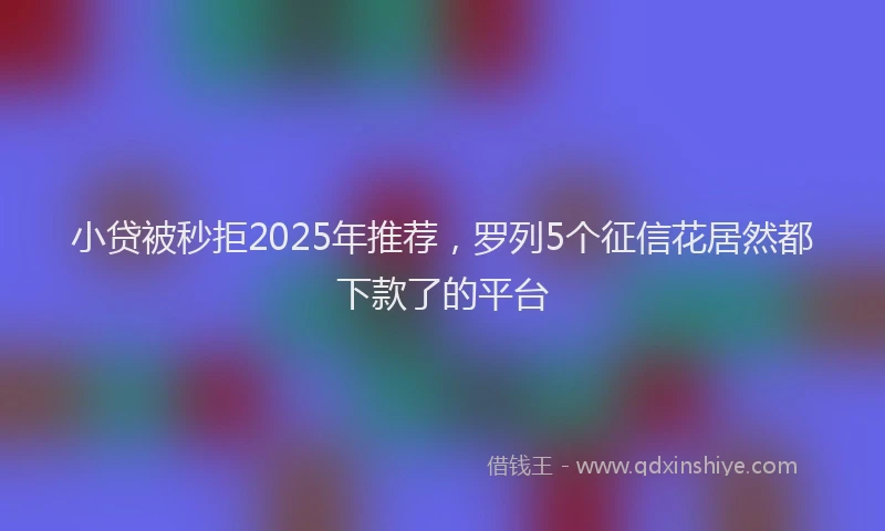 小贷被秒拒2025年推荐，罗列5个征信花居然都下款了的平台