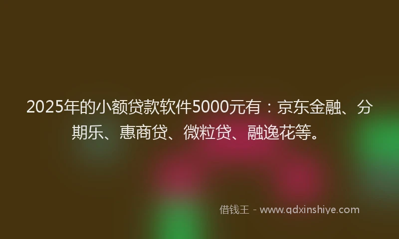 2025年的小额贷款软件5000元有：京东金融、分期乐、惠商贷、微粒贷、融逸花等。
